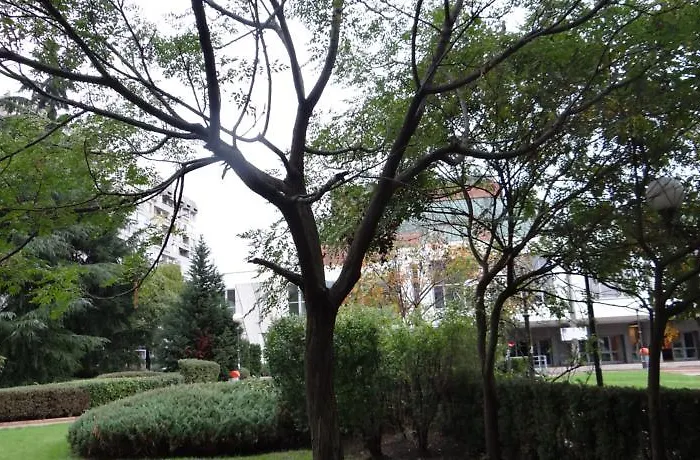 Apartman Luxury Versailles Center Opera *